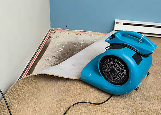 Your Water Damage Experts in Fairburn, GA