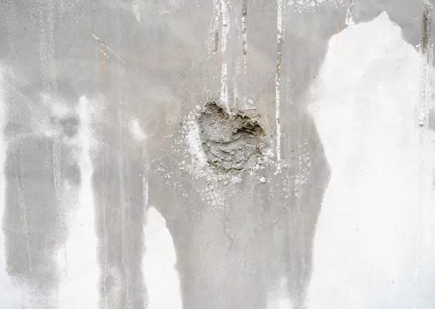 Your Mold Mitigation Solutions Partner in Fairburn, GA