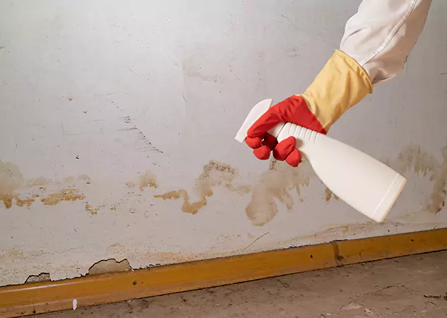 Your Water Restoration and Mold Remediation Specialists in Fairburn, GA
