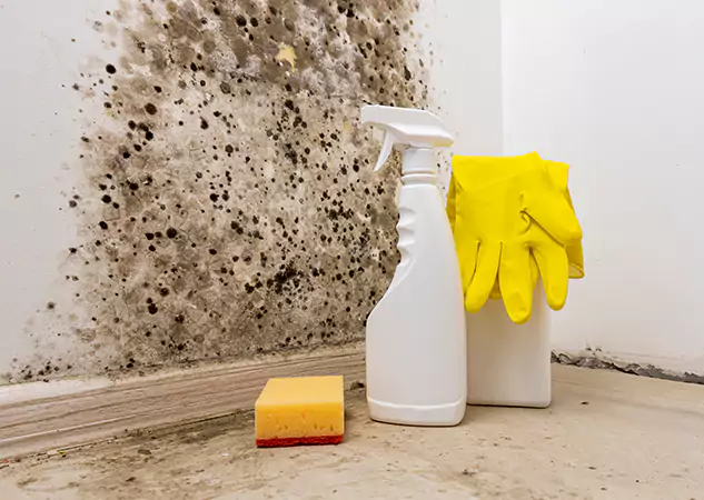 Your Reliable Restoration Company in Fairburn, GA