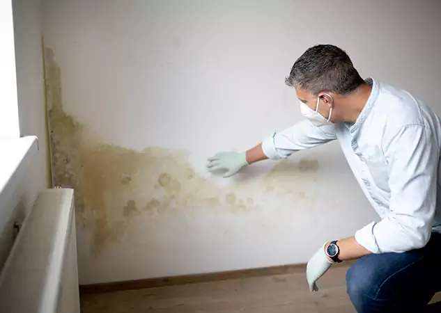 Reach Our Remediation Team Before Damage Grows in Fairburn, GA!