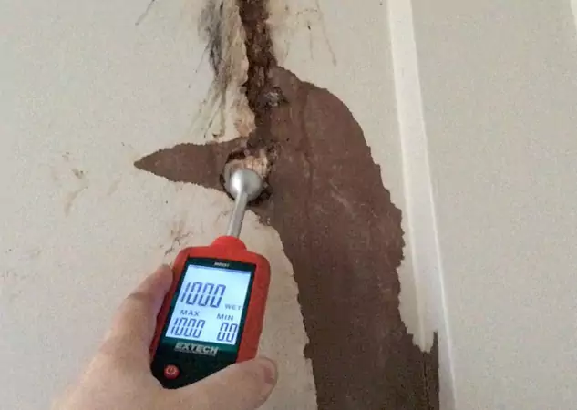 Your Water Damage Assessment Partner in Fairburn, GA
