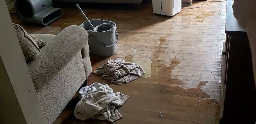 Professional Basement Water Remediation Services in Fairburn, GA