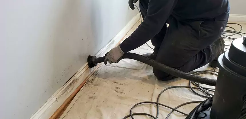 Professional Smoke and Water Damage Restoration Services in Fairburn, GA