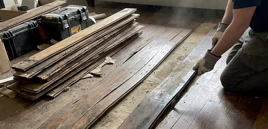 Wood Rot and Fungus Repair in Fairburn