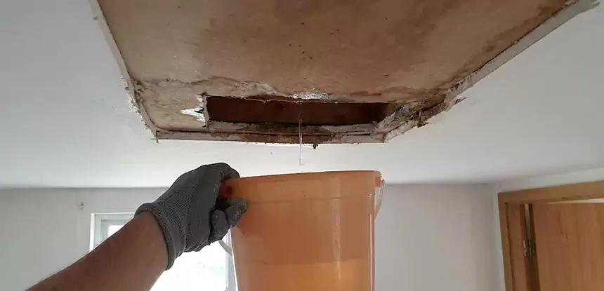 Ceiling Mold Repair Fairburn