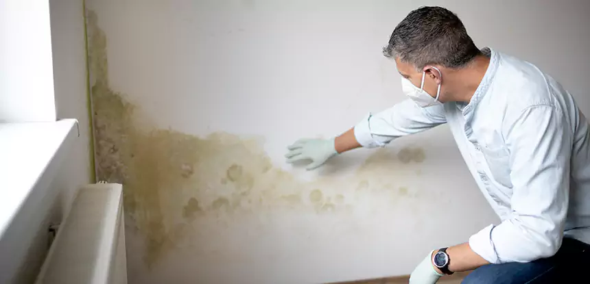 Mold and Water Damage Repair in Fairburn