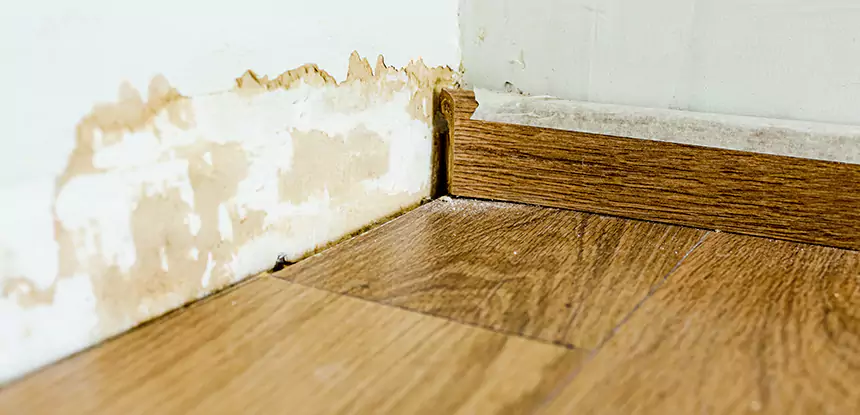 Professional Fix Water Damaged Wood Services in Fairburn, GA