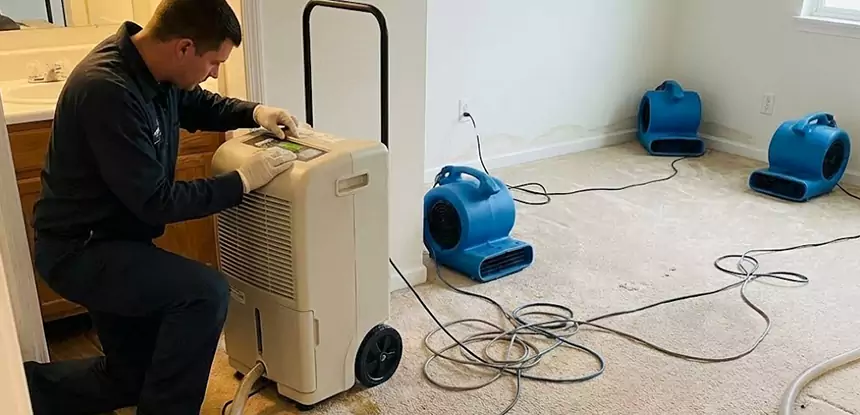 Professional Wet Carpet Removal Services in Fairburn, GA
