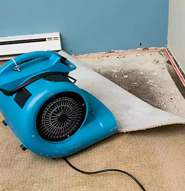 Why Fairburn Trusts Fairburn Restoration Pro for Carpet Flood Recovery?