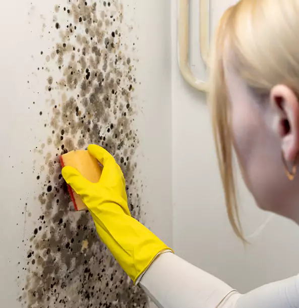 Why Fairburn Restoration Pro Leads Mold Remediation in Fairburn?