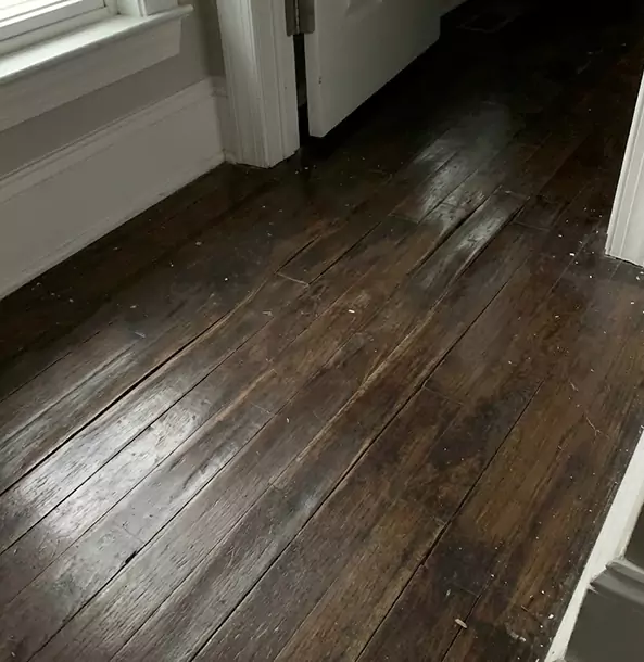 Why Fairburn Homeowners Trust Fairburn Restoration Pro to Fix Water Damaged Wood?
