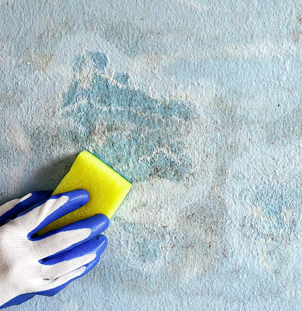 Why Fairburn Restoration Pro Is the Right Choice in Fairburn, GA?