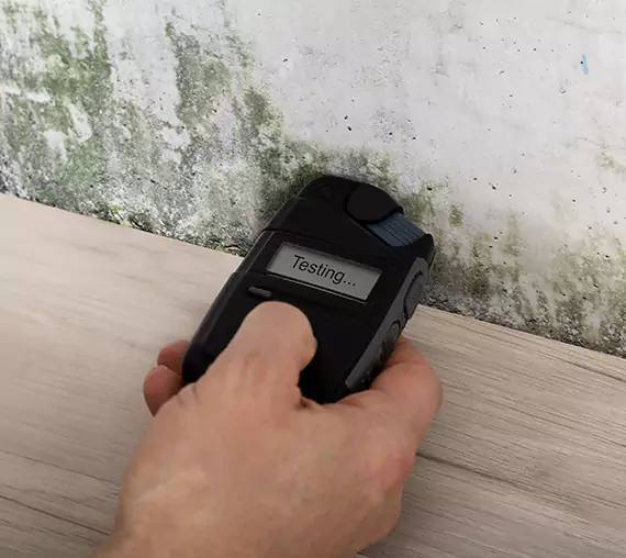 Mold Remediation Service Fairburn